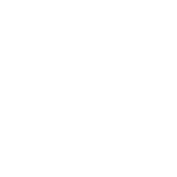 Minimal Invasive Spine Surgeries Performed+